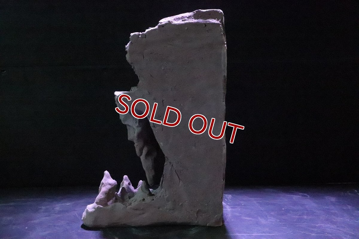 画像7: 【熱帯魚 シェルター】No1 シェルタクラフタ 鍾乳石 SPDX シェルター【個体販売】(淡水) (7)