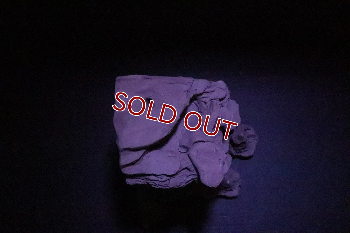 画像8: 【熱帯魚 シェルター】No1 シェルタクラフタ 鍾乳石 SPDX シェルター【個体販売】(淡水) (8)