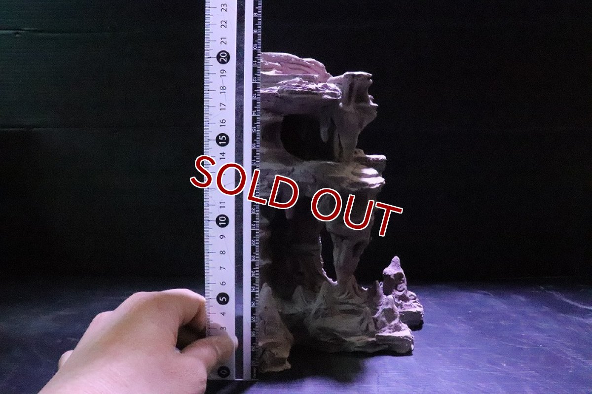 画像9: 【熱帯魚 シェルター】No1 シェルタクラフタ 鍾乳石 SPDX シェルター【個体販売】(淡水) (9)