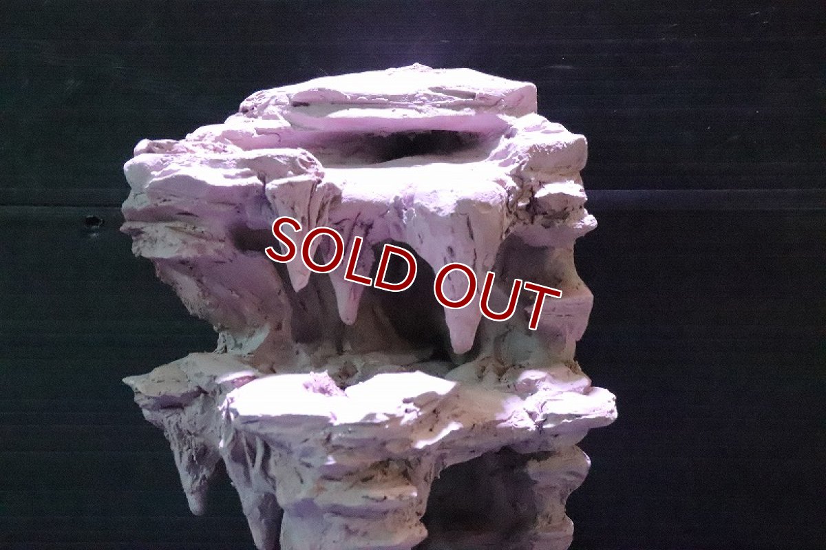 画像5: 【熱帯魚 シェルター】No2 シェルタクラフタ 鍾乳石 SPDX シェルター【個体販売】(淡水) (5)