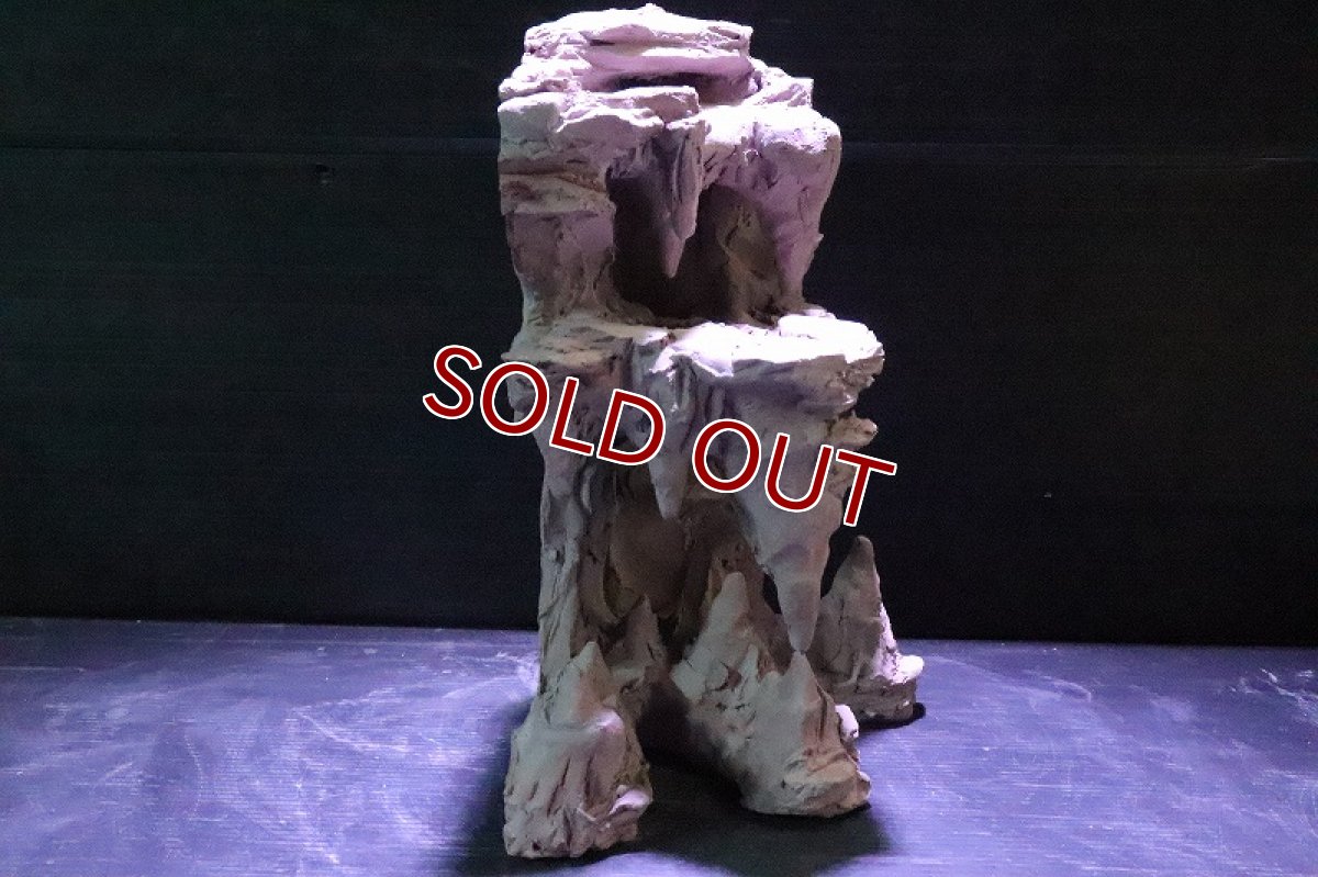 画像6: 【熱帯魚 シェルター】No2 シェルタクラフタ 鍾乳石 SPDX シェルター【個体販売】(淡水) (6)