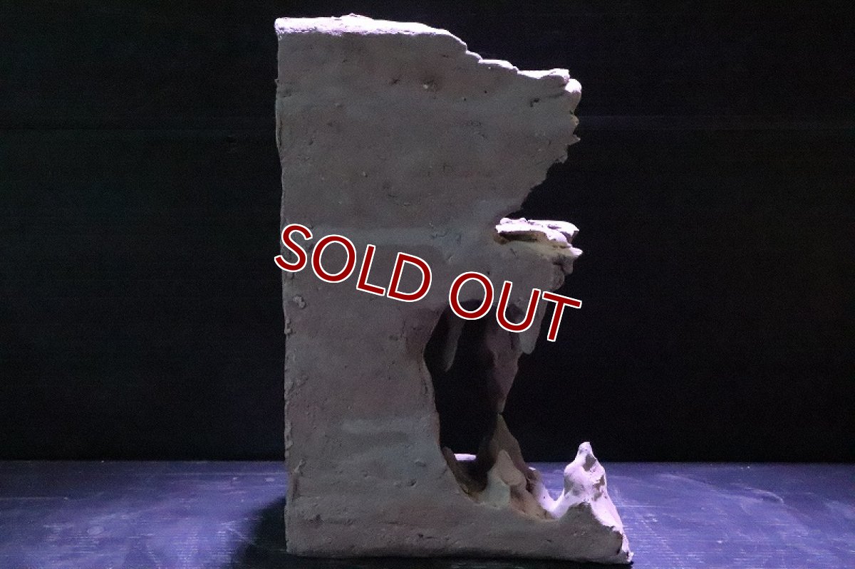 画像7: 【熱帯魚 シェルター】No2 シェルタクラフタ 鍾乳石 SPDX シェルター【個体販売】(淡水) (7)