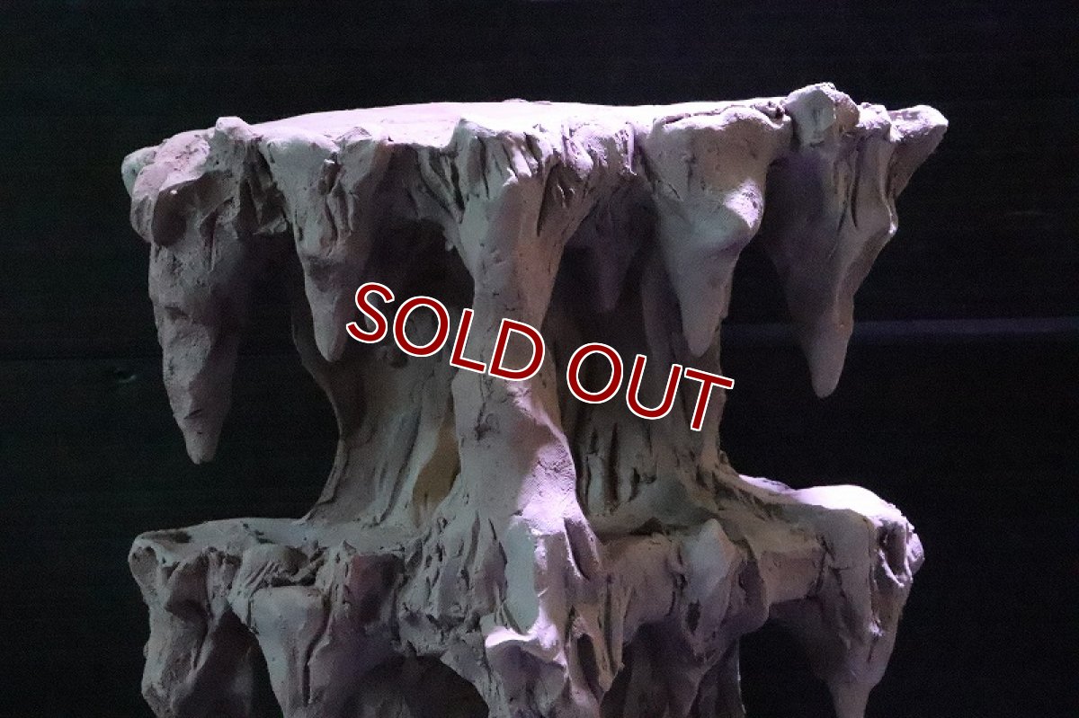 画像6: 【熱帯魚 シェルター】No2 シェルタクラフタ 鍾乳石タワー 2段 シェルター【個体販売】(淡水) (6)