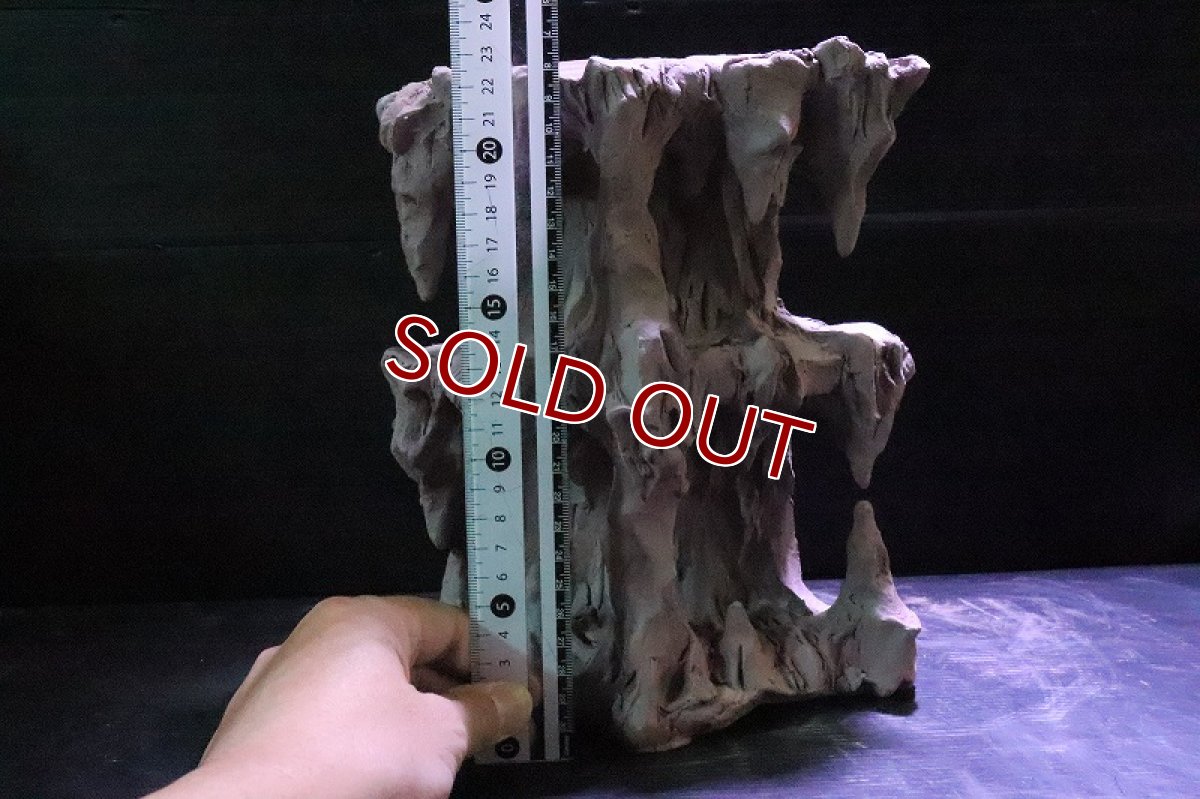 画像9: 【熱帯魚 シェルター】No2 シェルタクラフタ 鍾乳石タワー 2段 シェルター【個体販売】(淡水) (9)