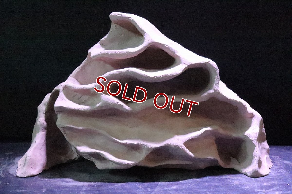 画像2: 【熱帯魚 シェルター】No1 シェルタクラフタ アリの巣型×産卵筒 シェルター【個体販売】(淡水) (2)