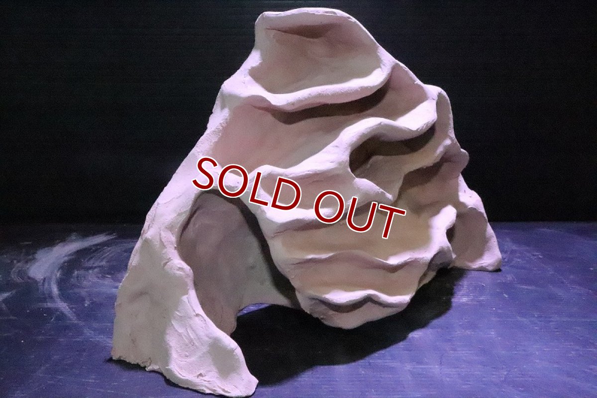 画像3: 【熱帯魚 シェルター】No1 シェルタクラフタ アリの巣型×産卵筒 シェルター【個体販売】(淡水) (3)