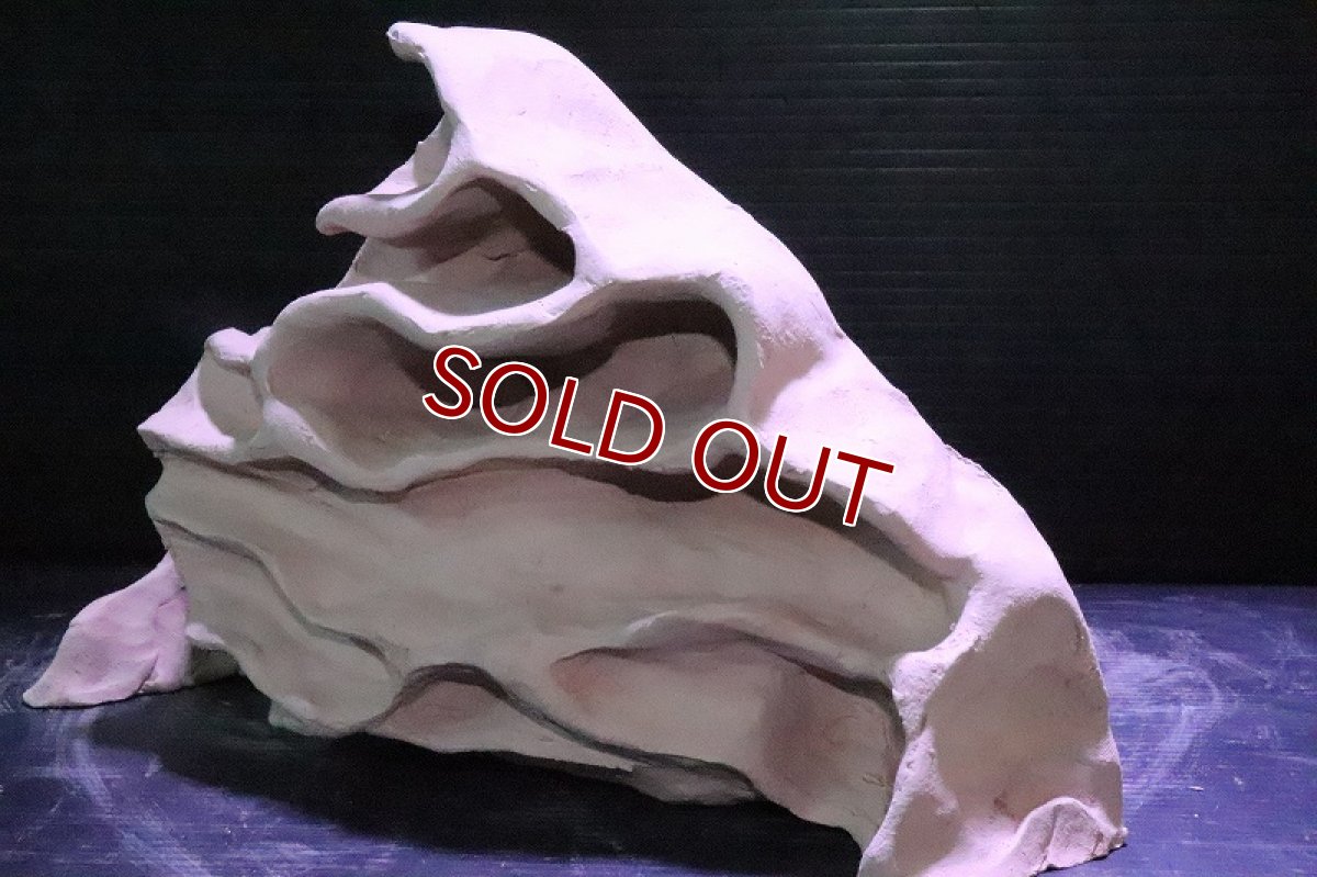 画像4: 【熱帯魚 シェルター】No1 シェルタクラフタ アリの巣型×産卵筒 シェルター【個体販売】(淡水) (4)