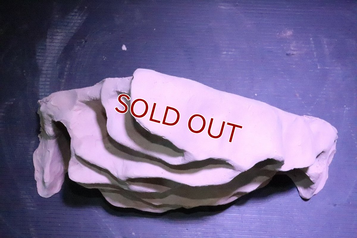 画像6: 【熱帯魚 シェルター】No1 シェルタクラフタ アリの巣型×産卵筒 シェルター【個体販売】(淡水) (6)