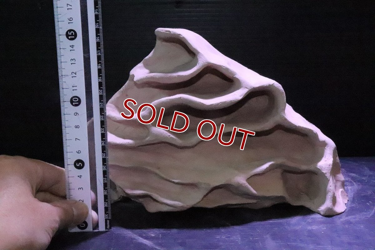 画像7: 【熱帯魚 シェルター】No1 シェルタクラフタ アリの巣型×産卵筒 シェルター【個体販売】(淡水) (7)