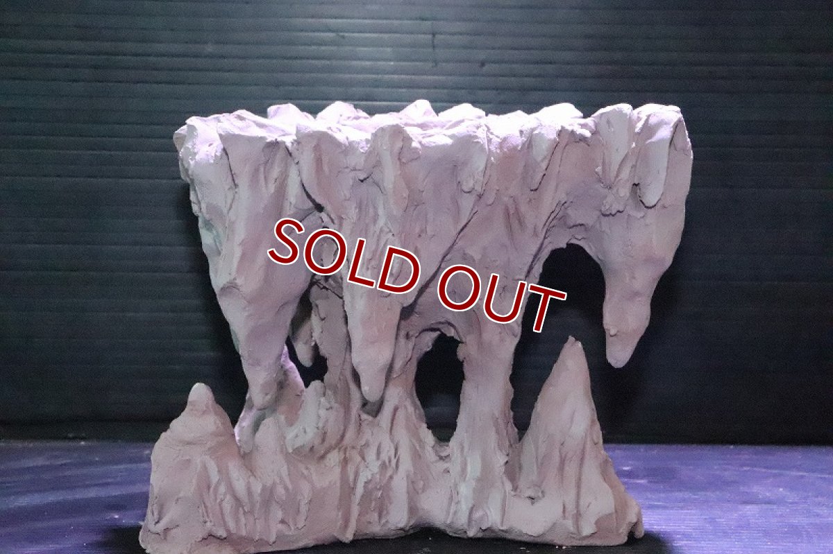 画像6: 【熱帯魚 シェルター】No1 シェルタクラフタ 鍾乳石ポット Sサイズ シェルター【個体販売】(淡水) (6)