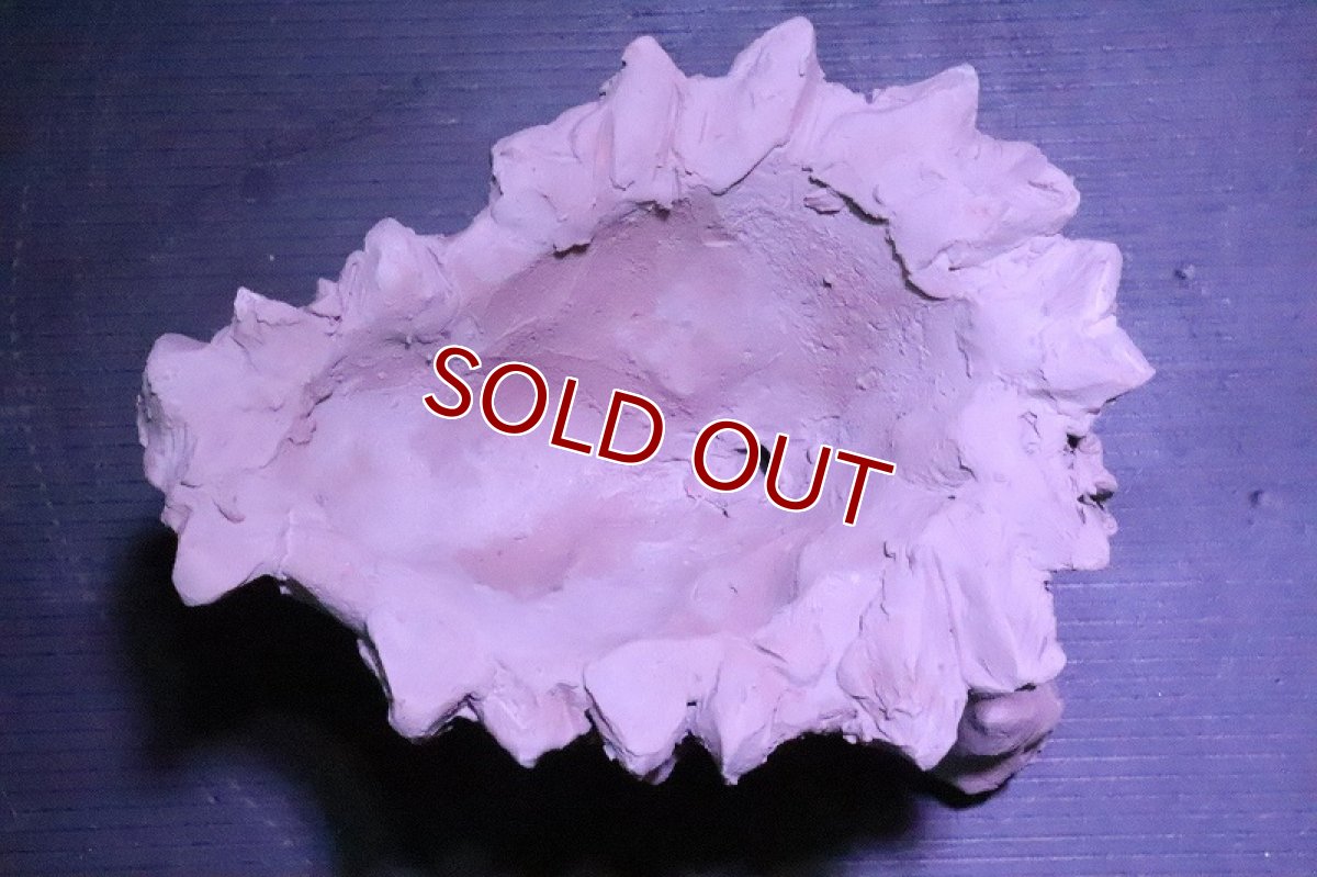 画像7: 【熱帯魚 シェルター】No1 シェルタクラフタ 鍾乳石ポット Sサイズ シェルター【個体販売】(淡水) (7)