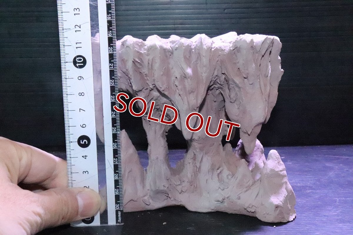 画像9: 【熱帯魚 シェルター】No1 シェルタクラフタ 鍾乳石ポット Sサイズ シェルター【個体販売】(淡水) (9)