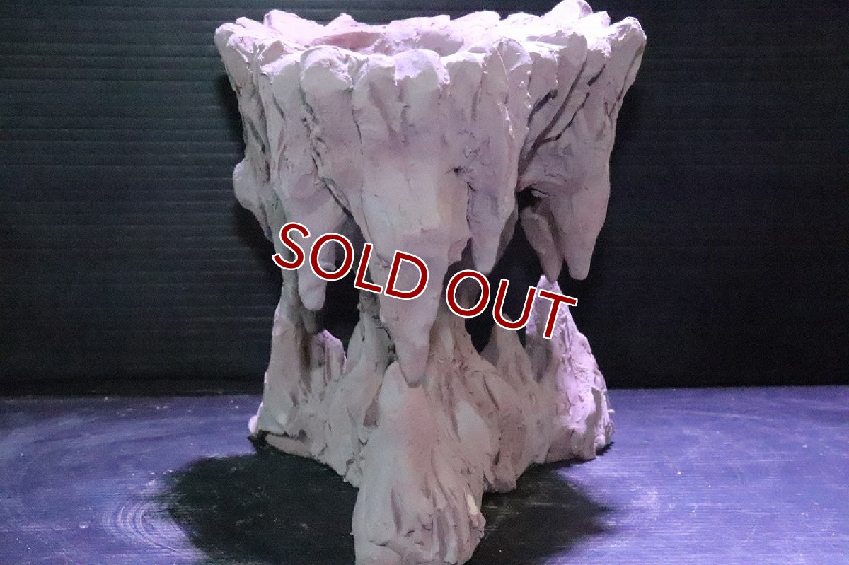 画像5: 【熱帯魚 シェルター】No1 シェルタクラフタ 鍾乳石ポット Mサイズ シェルター【個体販売】(淡水) (5)