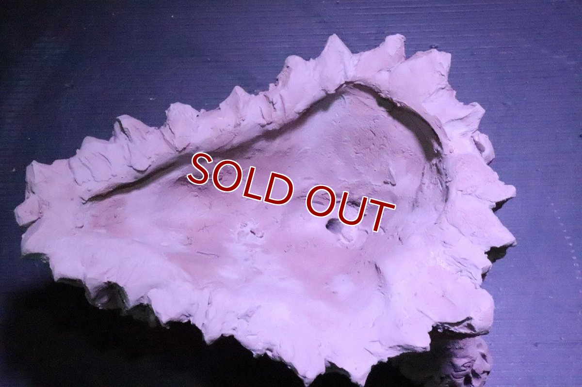 画像8: 【熱帯魚 シェルター】No1 シェルタクラフタ 鍾乳石ポット Mサイズ シェルター【個体販売】(淡水) (8)