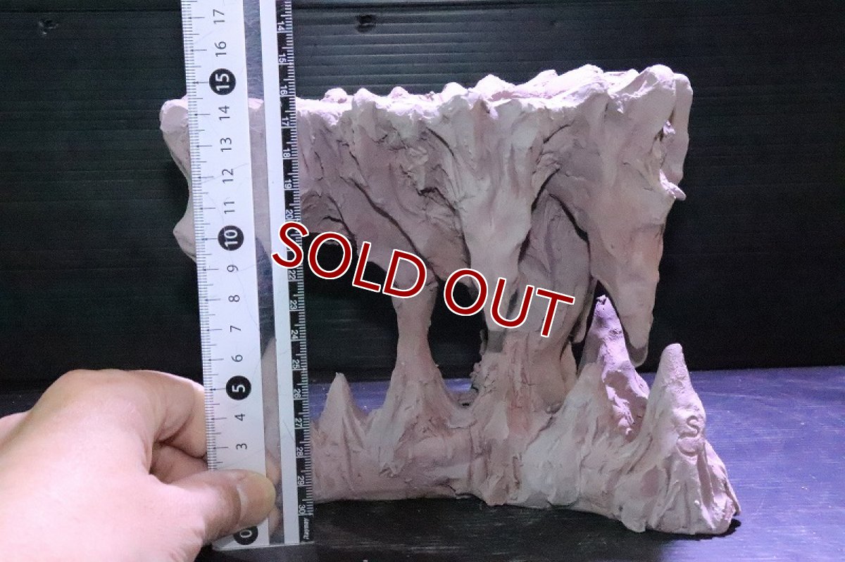 画像10: 【熱帯魚 シェルター】No1 シェルタクラフタ 鍾乳石ポット Mサイズ シェルター【個体販売】(淡水) (10)