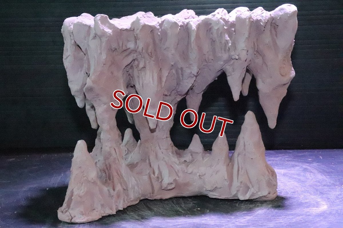 画像7: 【熱帯魚 シェルター】No2 シェルタクラフタ 鍾乳石ポット Mサイズ シェルター【個体販売】(淡水) (7)