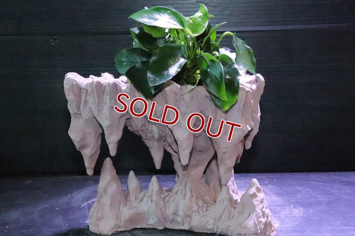 画像9: 【熱帯魚 シェルター】No2 シェルタクラフタ 鍾乳石ポット Mサイズ シェルター【個体販売】(淡水) (9)