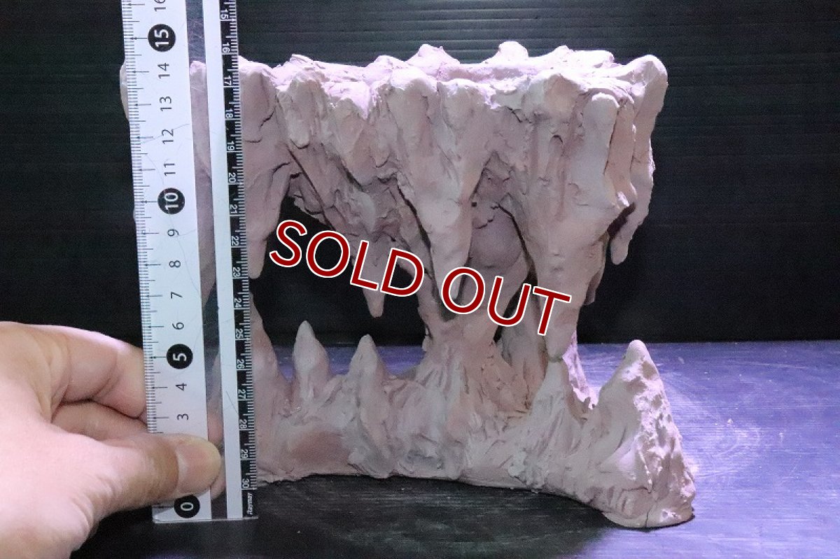 画像10: 【熱帯魚 シェルター】No2 シェルタクラフタ 鍾乳石ポット Mサイズ シェルター【個体販売】(淡水) (10)