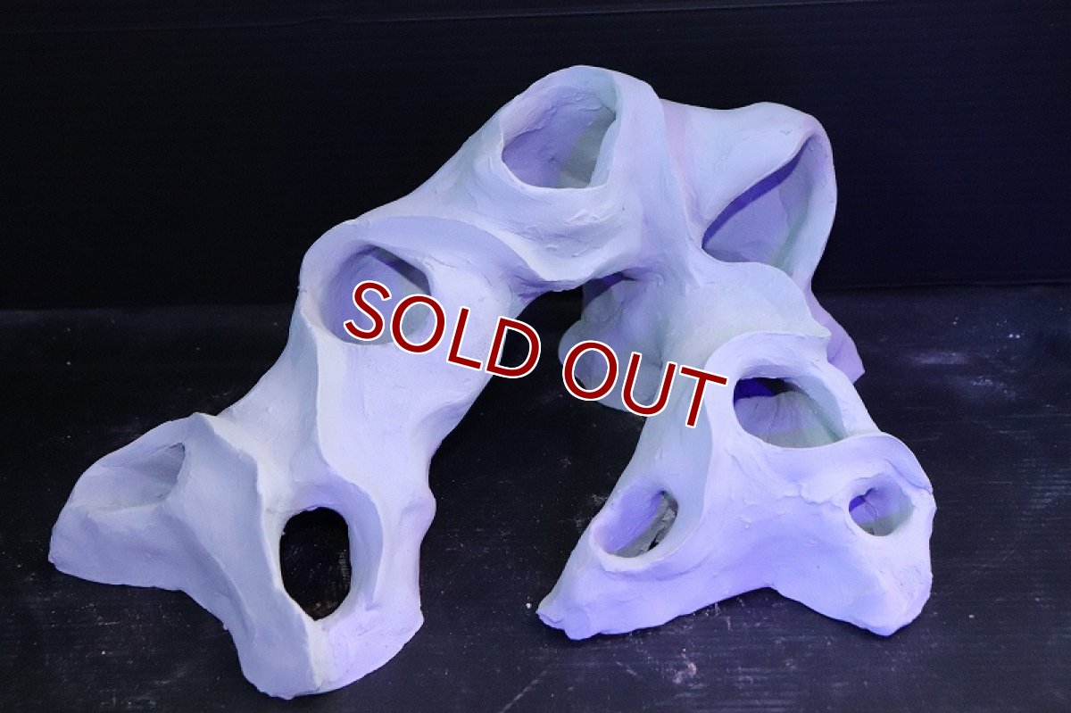 画像2: 【熱帯魚 シェルター】シェルタクラフタ No1 基本型TA XLサイズ シェルター【個体販売】(淡水) (2)