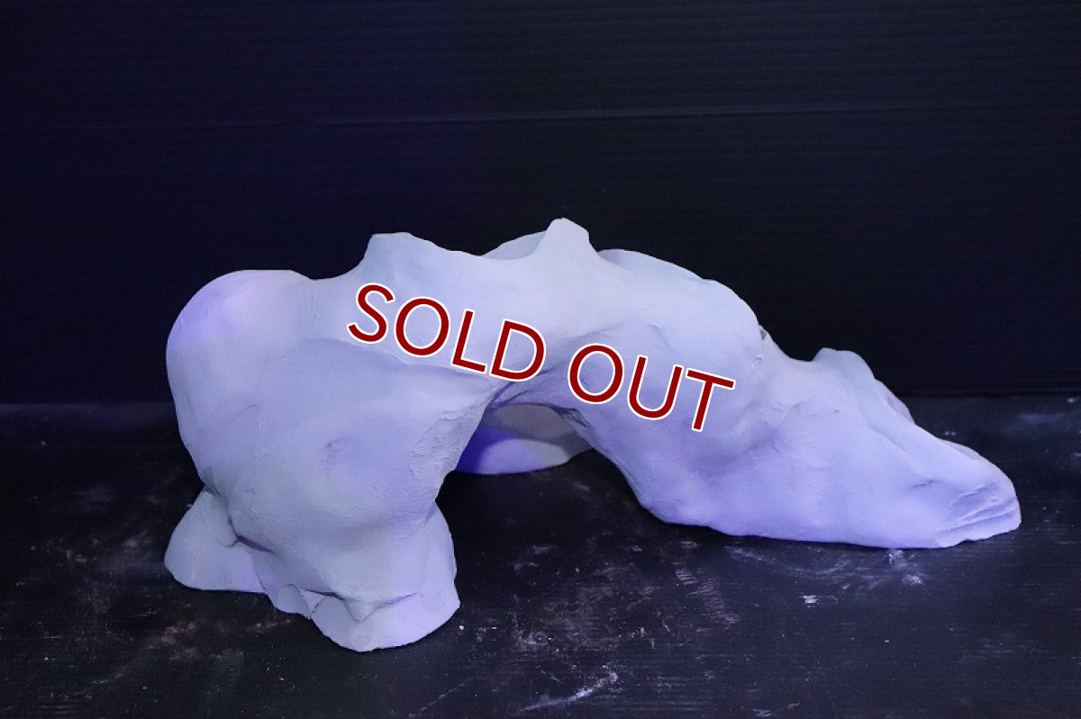 画像5: 【熱帯魚 シェルター】シェルタクラフタ No1 基本型TA XLサイズ シェルター【個体販売】(淡水) (5)