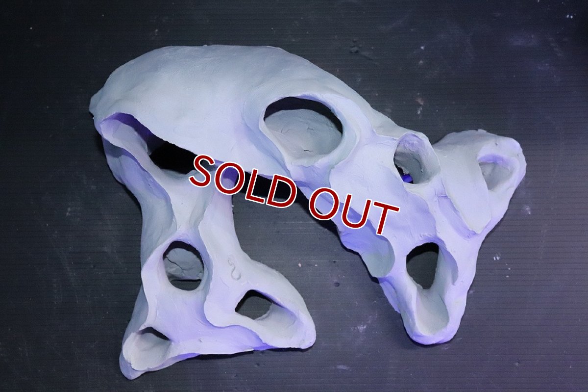 画像6: 【熱帯魚 シェルター】シェルタクラフタ No2 基本型TA XLサイズ シェルター【個体販売】(淡水) (6)