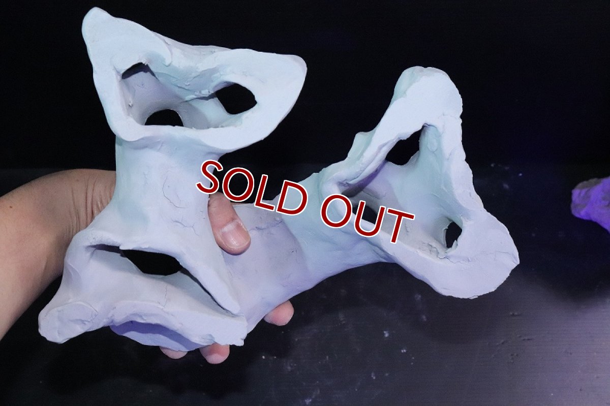 画像7: 【熱帯魚 シェルター】シェルタクラフタ No2 基本型TA XLサイズ シェルター【個体販売】(淡水) (7)