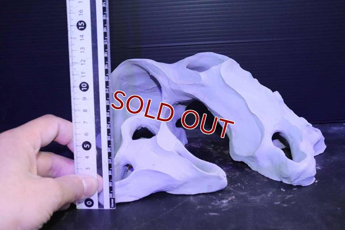 画像8: 【熱帯魚 シェルター】シェルタクラフタ No2 基本型TA XLサイズ シェルター【個体販売】(淡水) (8)