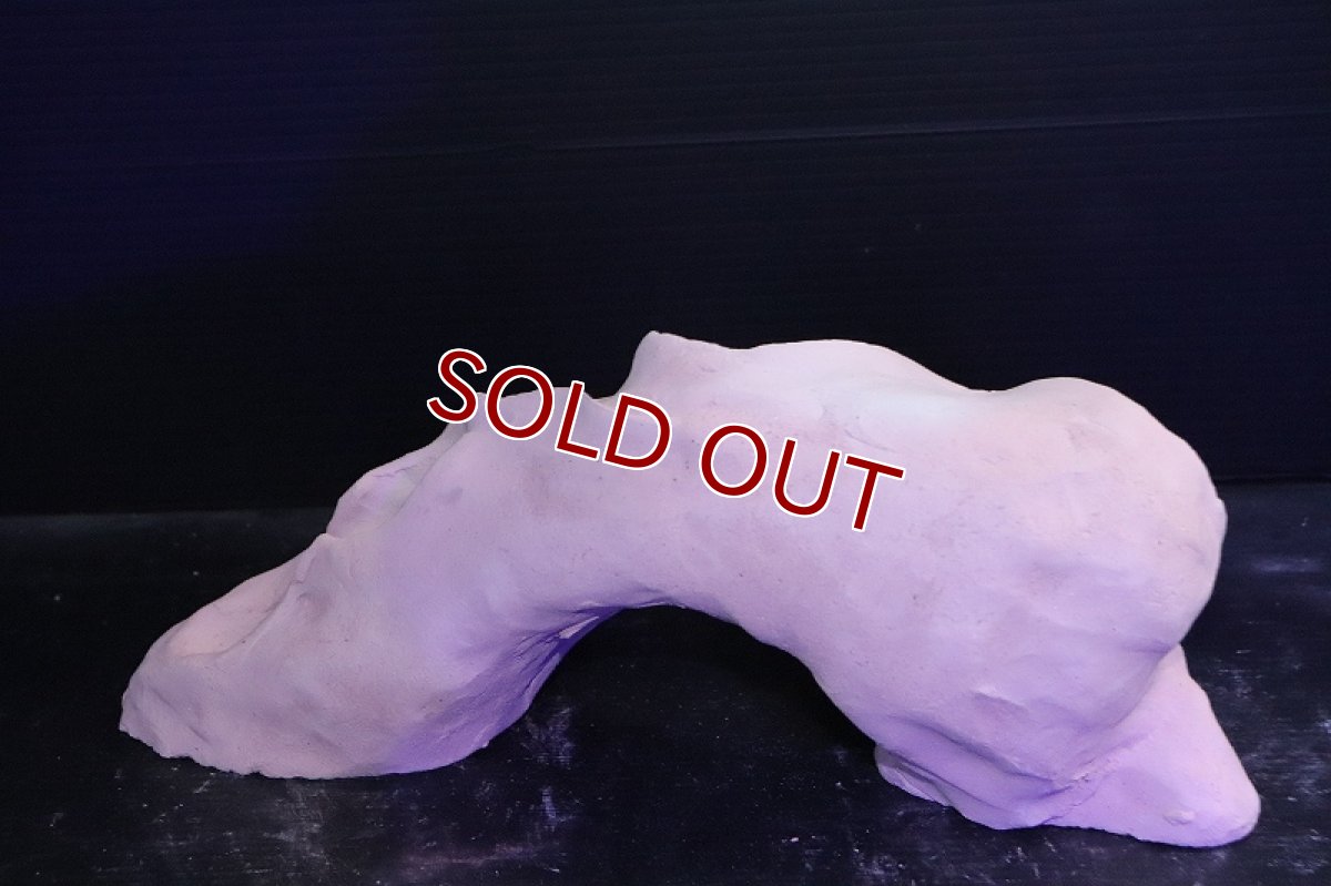 画像5: 【熱帯魚 シェルター】シェルタクラフタ 基本型TA XLサイズ シェルター【1個 サンプル画像】(淡水) (5)