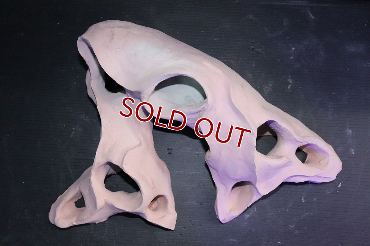 画像6: 【熱帯魚 シェルター】シェルタクラフタ 基本型TA XLサイズ シェルター【1個 サンプル画像】(淡水) (6)