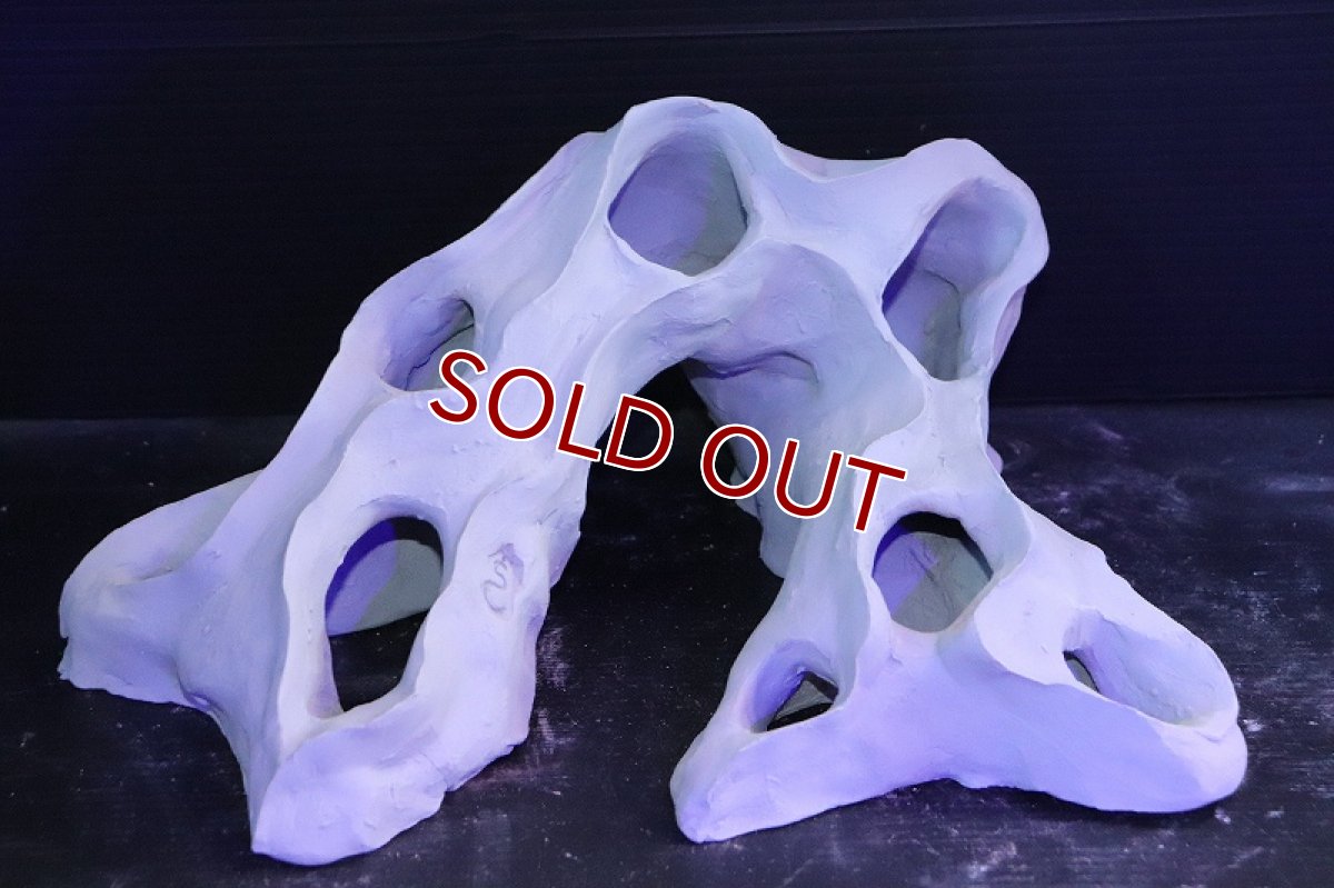 画像3: 【熱帯魚 シェルター】シェルタクラフタ No5 基本型TA XLサイズ シェルター【個体販売】(淡水) (3)