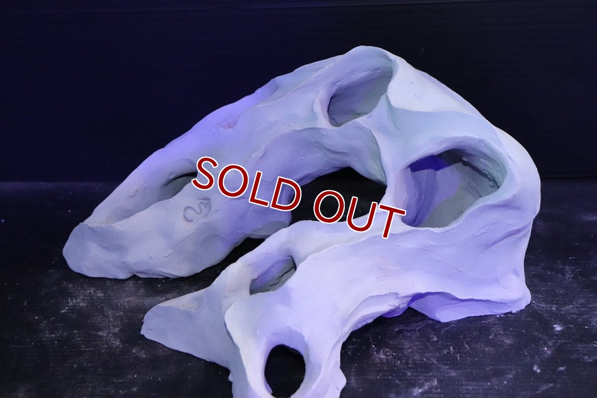 画像4: 【熱帯魚 シェルター】シェルタクラフタ No5 基本型TA XLサイズ シェルター【個体販売】(淡水) (4)