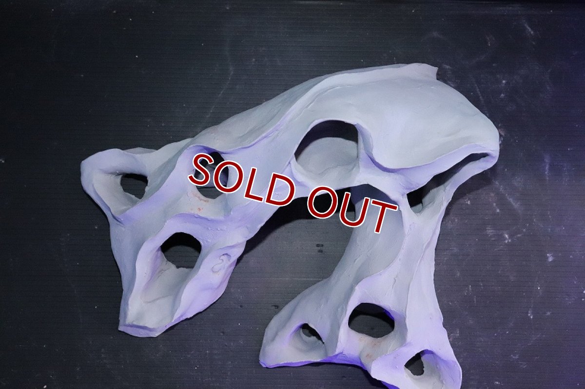 画像6: 【熱帯魚 シェルター】シェルタクラフタ No5 基本型TA XLサイズ シェルター【個体販売】(淡水) (6)