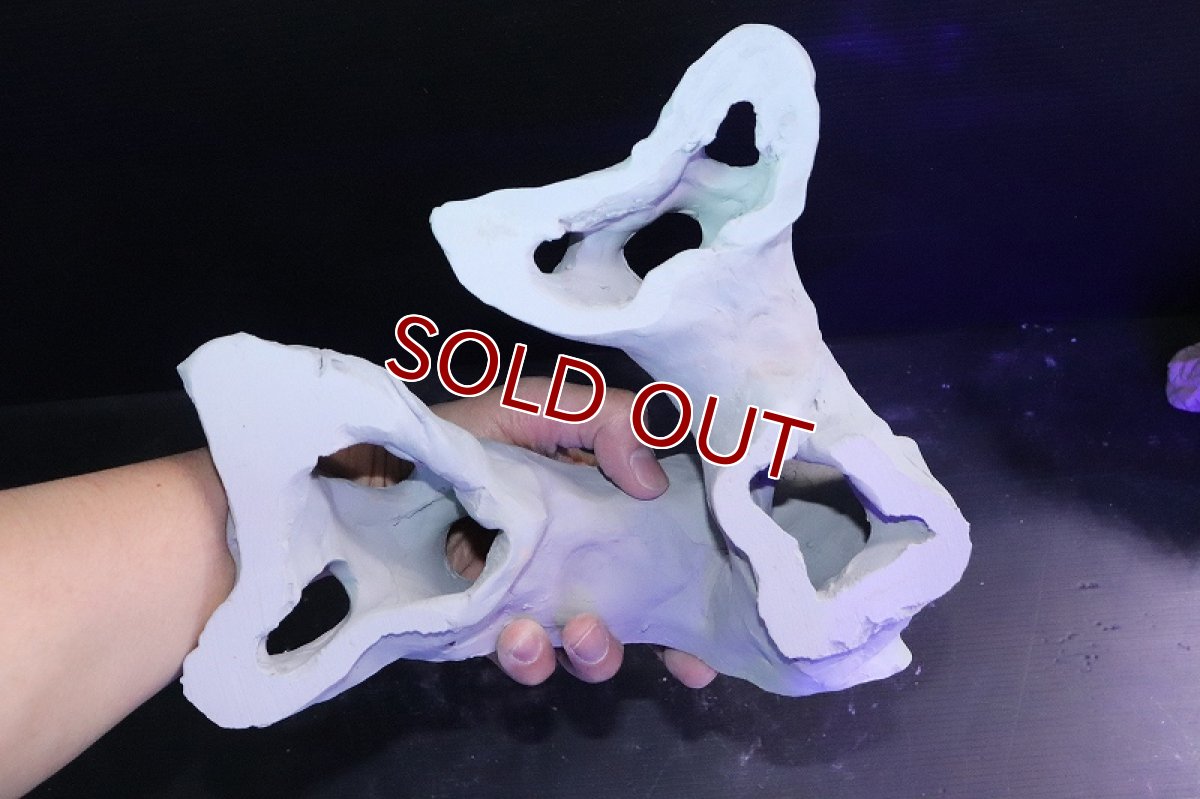 画像7: 【熱帯魚 シェルター】シェルタクラフタ No5 基本型TA XLサイズ シェルター【個体販売】(淡水) (7)