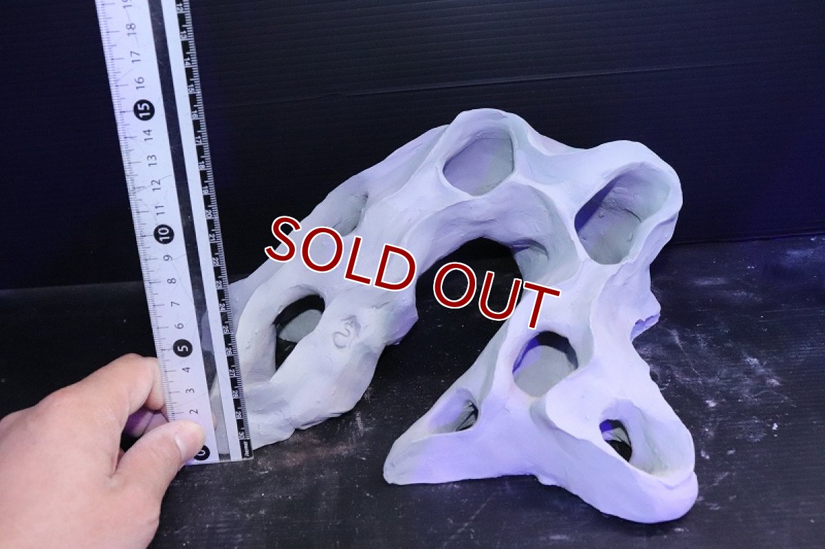 画像8: 【熱帯魚 シェルター】シェルタクラフタ No5 基本型TA XLサイズ シェルター【個体販売】(淡水) (8)