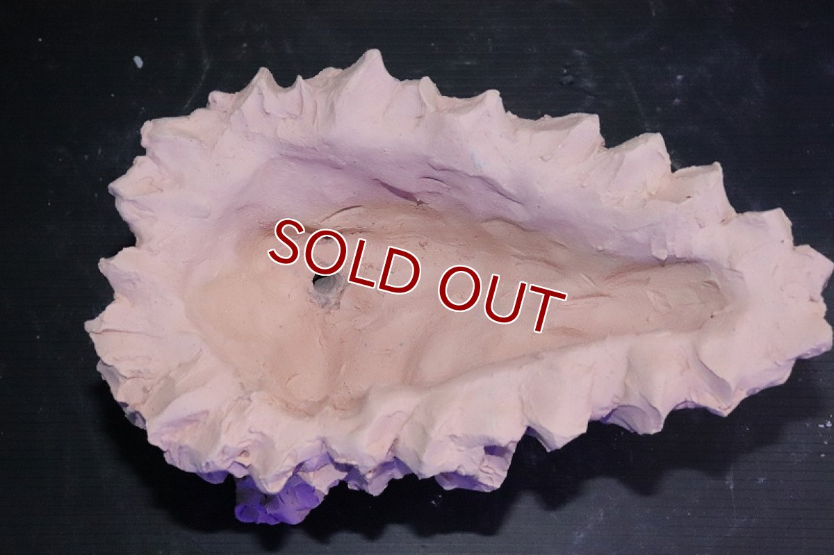 画像7: 【熱帯魚 シェルター】シェルタクラフタ No1 鍾乳石ポット Mサイズ シェルター【個体販売】(淡水) (7)