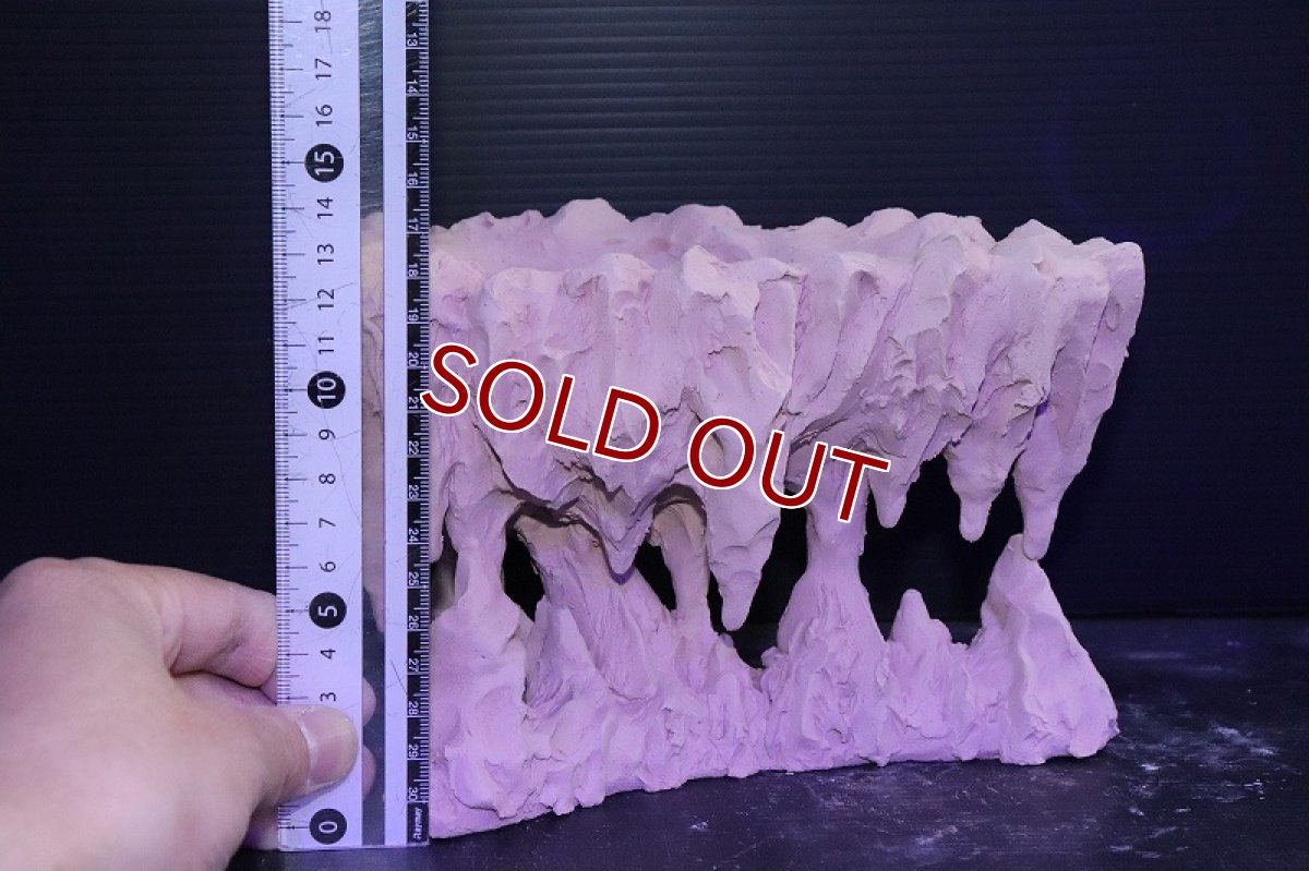 画像9: 【熱帯魚 シェルター】シェルタクラフタ No1 鍾乳石ポット Mサイズ シェルター【個体販売】(淡水) (9)