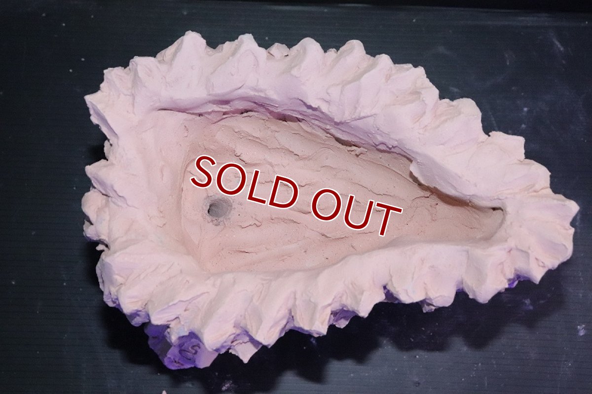 画像7: 【熱帯魚 シェルター】シェルタクラフタ No2 鍾乳石ポット Mサイズ シェルター【個体販売】(淡水) (7)