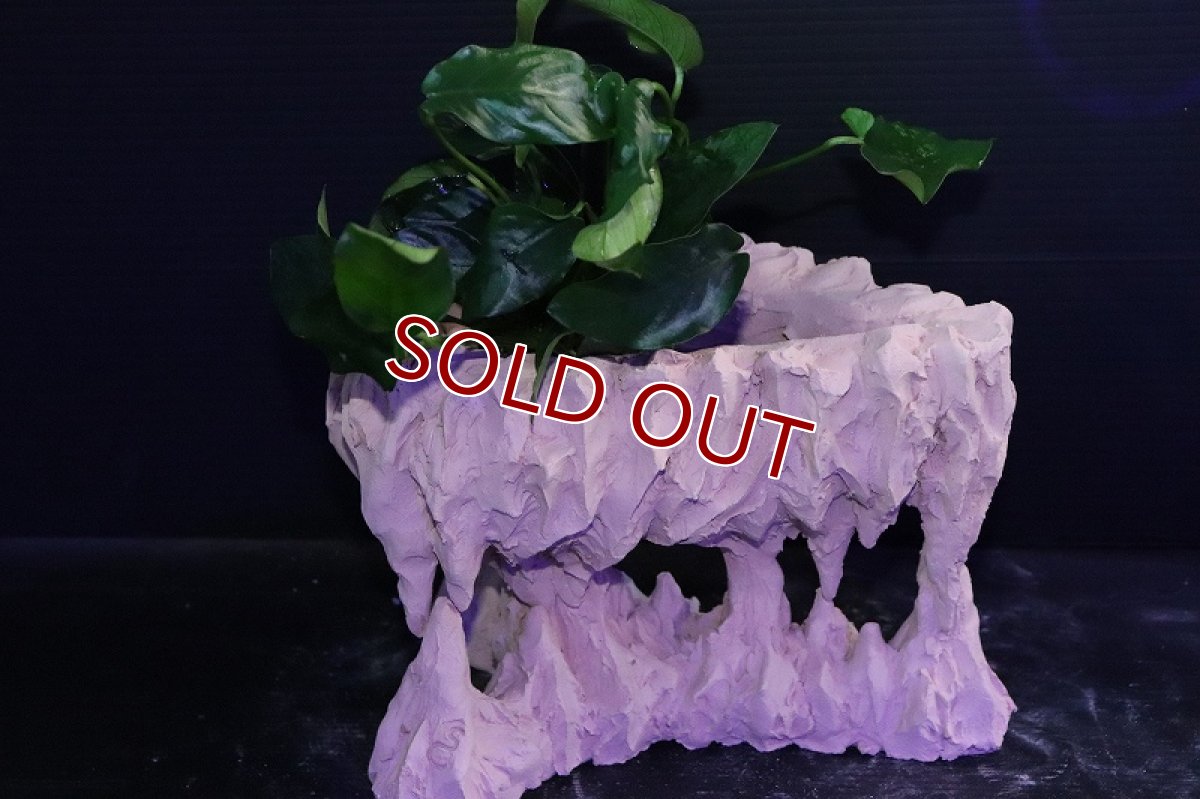 画像8: 【熱帯魚 シェルター】シェルタクラフタ No2 鍾乳石ポット Mサイズ シェルター【個体販売】(淡水) (8)