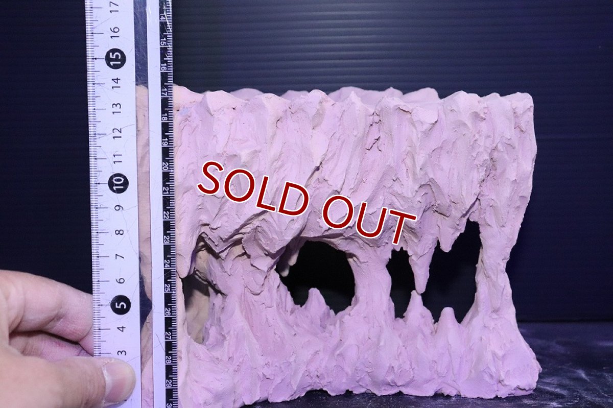 画像9: 【熱帯魚 シェルター】シェルタクラフタ No2 鍾乳石ポット Mサイズ シェルター【個体販売】(淡水) (9)