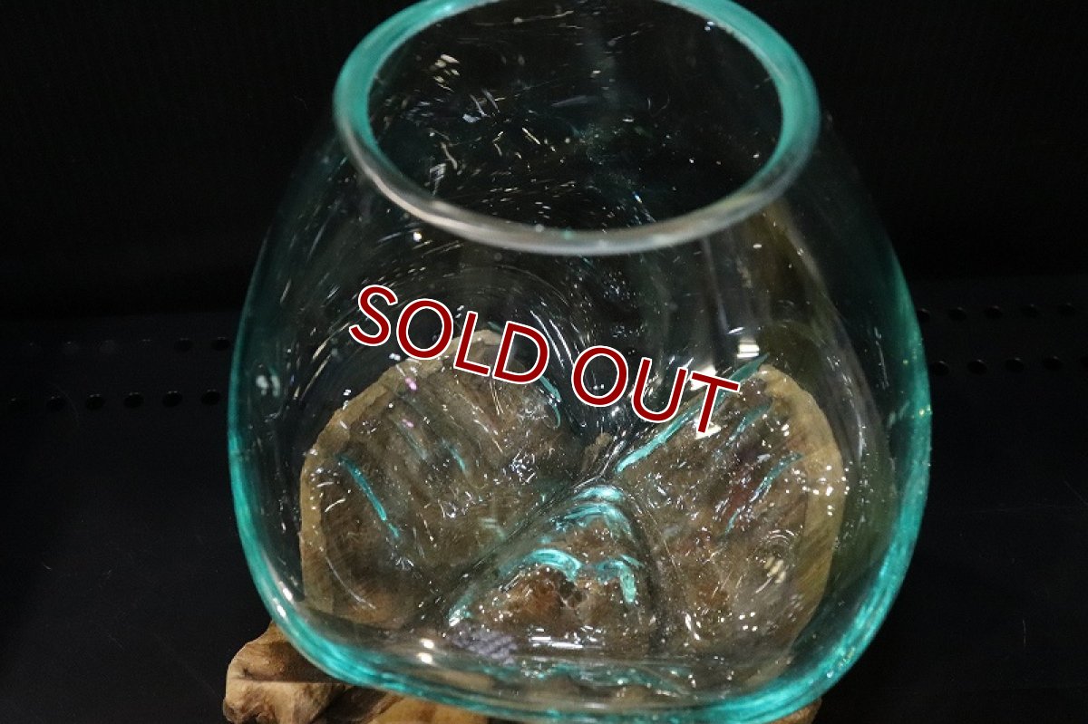画像5: 【飼育用品・器具】No1 ガラス流木 Mサイズ【１点物 個体販売】(水槽) (5)