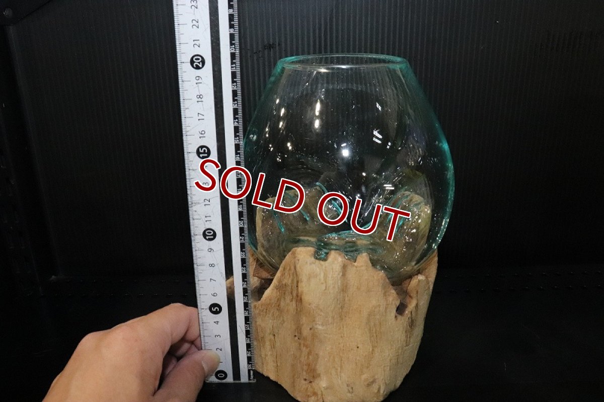画像7: 【飼育用品・器具】No1 ガラス流木 Mサイズ【１点物 個体販売】(水槽) (7)