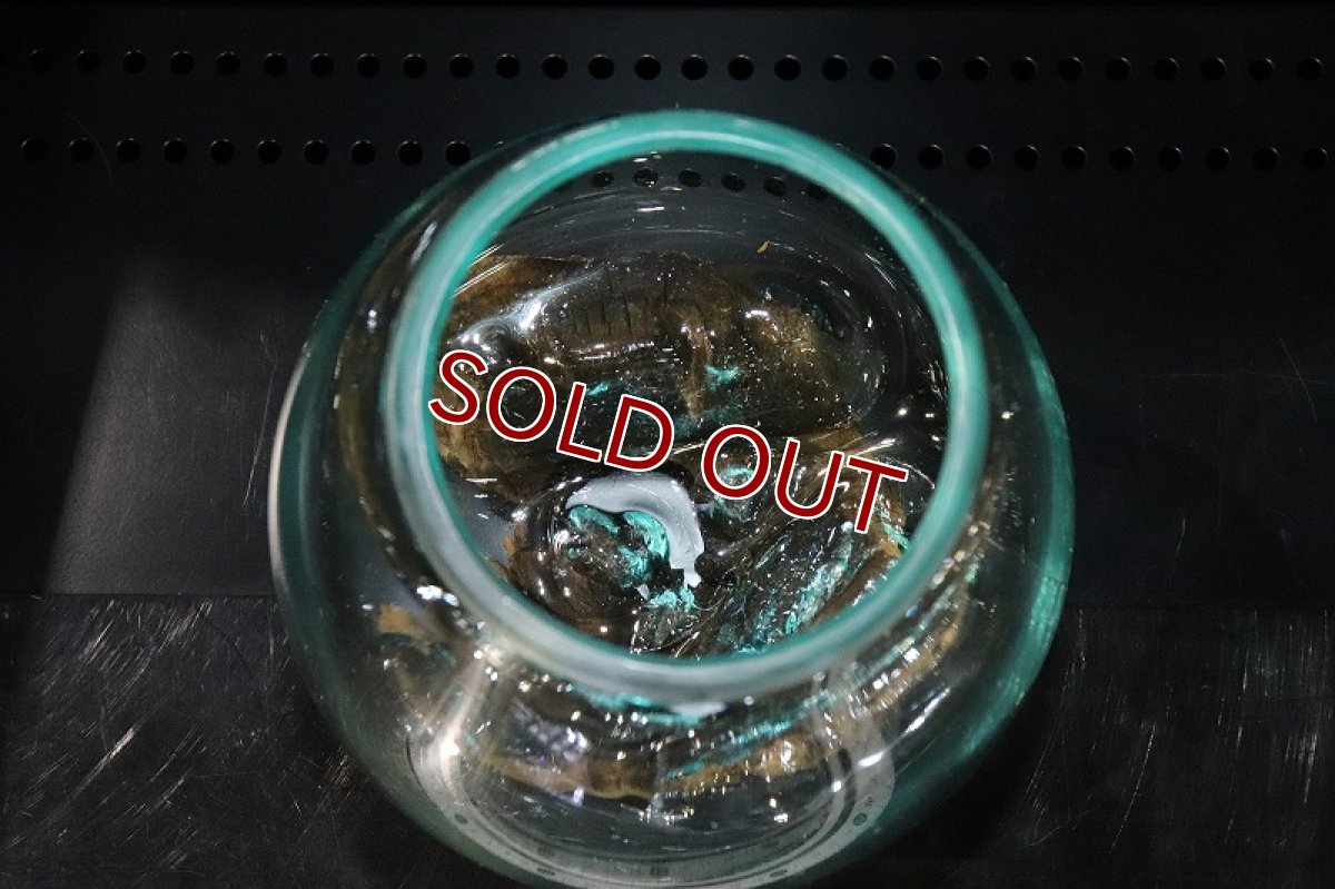 画像4: 【飼育用品・器具】No2 ガラス流木 Mサイズ【1点物 個体販売】(水槽) (4)