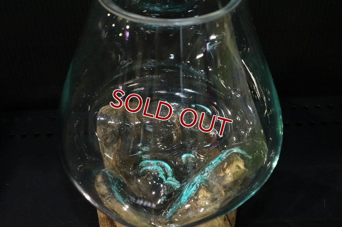 画像5: 【飼育用品・器具】No2 ガラス流木 Mサイズ【1点物 個体販売】(水槽) (5)