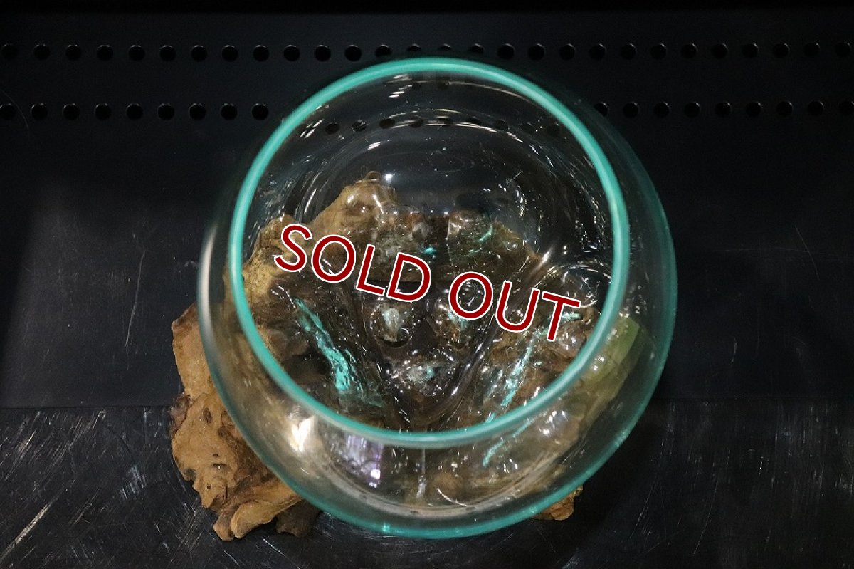 画像4: 【飼育用品・器具】No3 ガラス流木 Mサイズ【1点物 個体販売】(水槽) (4)