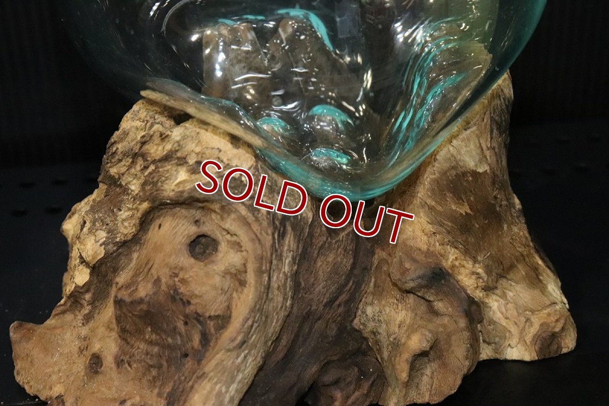 画像6: 【飼育用品・器具】No3 ガラス流木 Mサイズ【1点物 個体販売】(水槽) (6)