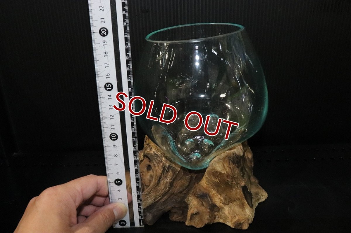 画像7: 【飼育用品・器具】No3 ガラス流木 Mサイズ【1点物 個体販売】(水槽) (7)