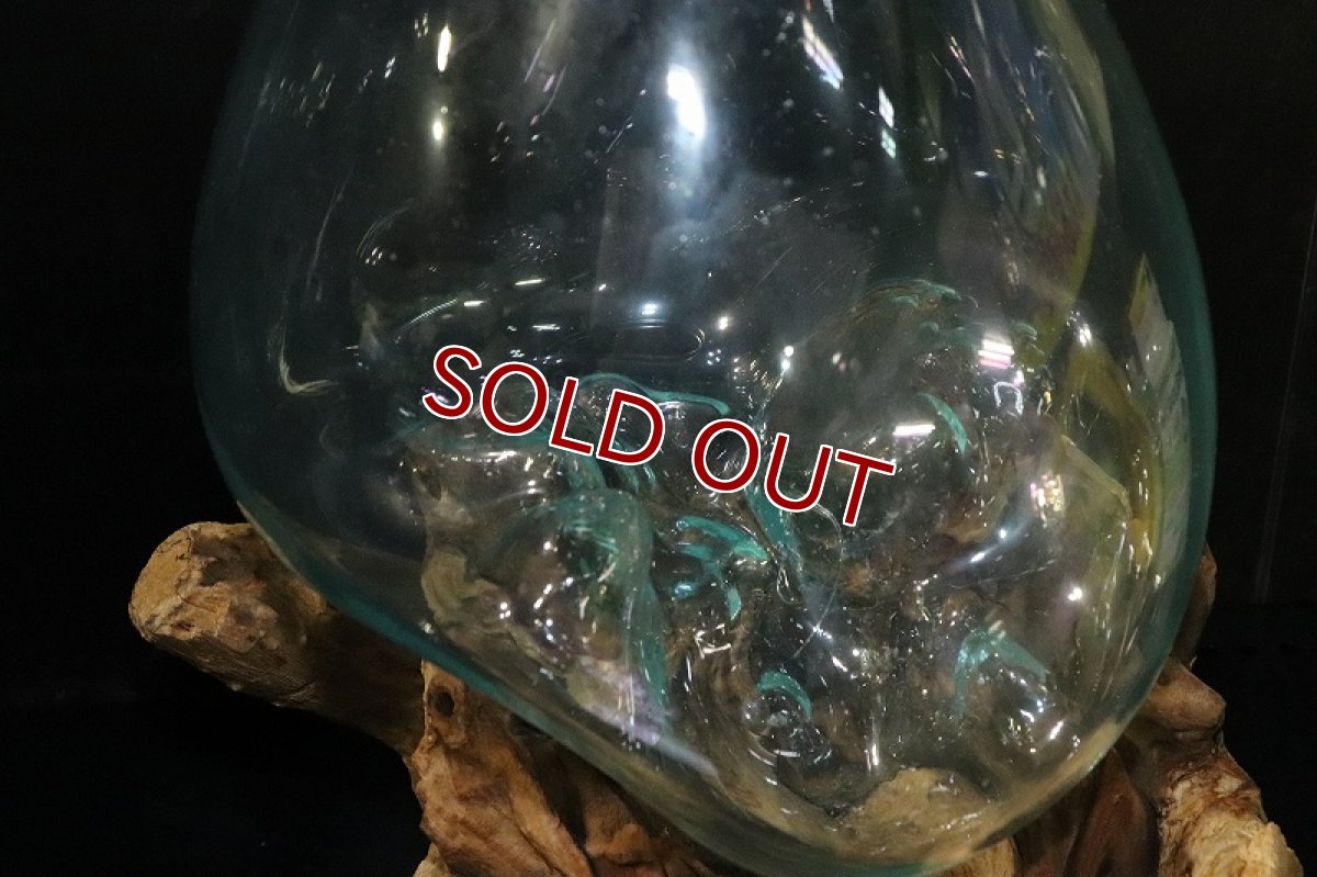 画像5: 【飼育用品・器具】No1 ガラス流木 XLサイズ【1点物 個体販売】(水槽) (5)