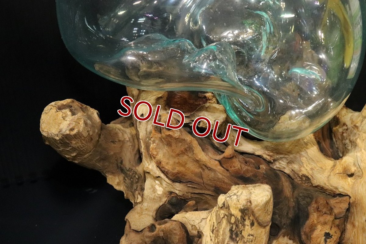 画像6: 【飼育用品・器具】No1 ガラス流木 XLサイズ【1点物 個体販売】(水槽) (6)