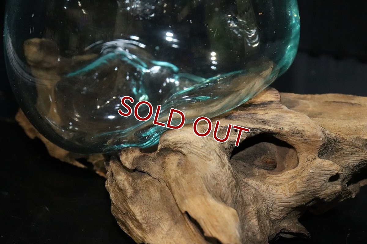 画像6: 【飼育用品・器具】No1 ガラス流木 SSサイズ【1点物 個体販売】(水槽) (6)