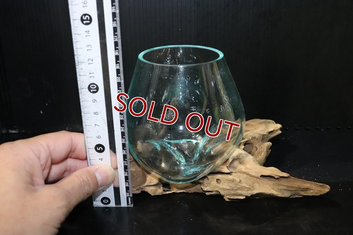 画像7: 【飼育用品・器具】No1 ガラス流木 SSサイズ【1点物 個体販売】(水槽) (7)